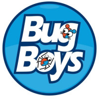 Bug Boys Services