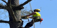 Ads-Arborist Touch Tree Service LLC