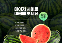 메이저사이트