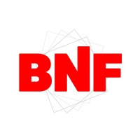 BNF Roofing (Orem, UT)