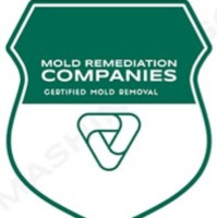 McLean Mold Remediation Pros