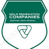 Des Plaines Mold Remediation Pros