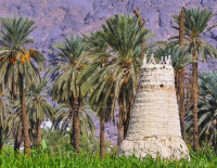 FOR SPANISH CITIZENS - SAUDI Saudi Arabian Government Visa Center | Saudi Electronic Visa eVisa - Visa en línea del Gobierno de Arabia Saudita