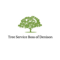 Tree Service Boss of Denison