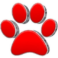 GUTTERDOGS Affordable Soft Power Washing & Safe Roof Cleaning