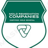 Sammamish Mold Remediation Pros