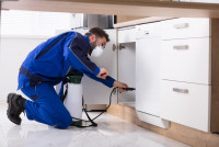 247 Pest Control Brisbane