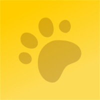 Well Groomed Pets - Palmetto