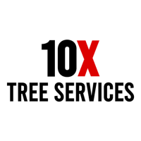 10X Tree Services