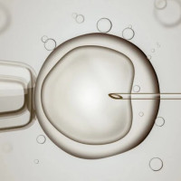 IVF support forum
