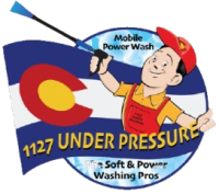Expert Pressure Washing Services for Homes & Driveways