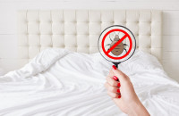 Grit City Termite Removal Experts