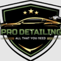 Pro Detailing