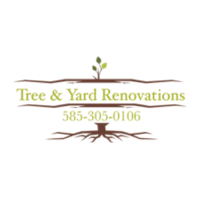 Tree And Yard Renovations