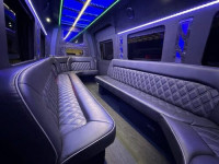 Pitt Party Bus