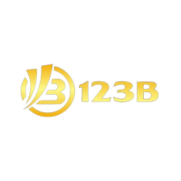123b computer