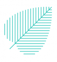 Nexia Wellness LLC