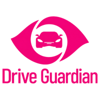 My Drive Guardian