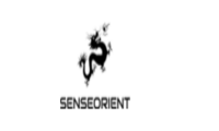 SenseOrient