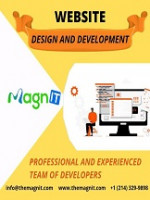 Custom Website & Mobile App development Company | Magnit