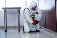Ses Pest Control Adelaide