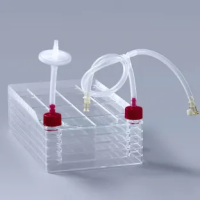 Biological Process Category
