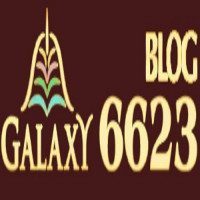 6623blog