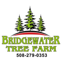 Bridgewater Tree Farm Inc.
