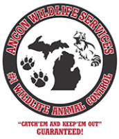 Ancon Wildlife Services