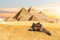 Egypt eVisa for Slovenia Citizens