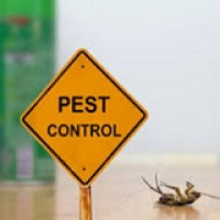 Idaho Pest Control