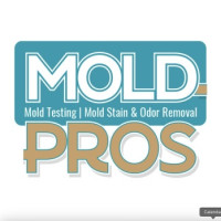 Mold Pros of Western PA