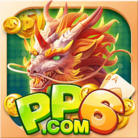PP6