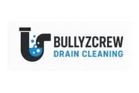 BullyzCrew Drain Cleaning