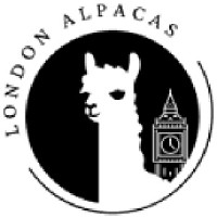 London Alpacas