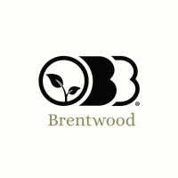 Organic Bronze Bar Brentwood