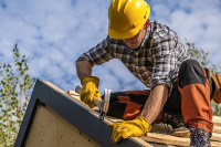 Expression Roofing