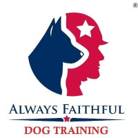 Always Faithful Dog & Puppy Training Boston MA