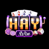 HAYWIN