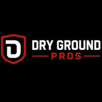 Dry Ground Pros