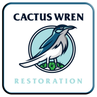 Cactus Wren Restoration