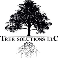 Tree Solutions MI | Expert Tree Removal Services