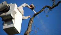 Little River Tree Service