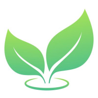 Buy Premium Online Kratom – Kratom Empire | Capsules & Powder Available