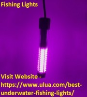 Is Fishing Lights Valuable?