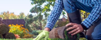 Foster City Artificial Grass Artisans
