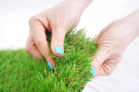 Pasadena Artificial Grass Pros