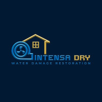 Intensa Dry
