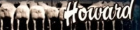 Howard Sheep and Cattle
