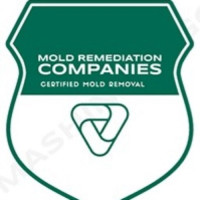 Chantilly Mold Remediation Pros